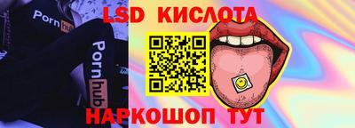 PSILOCYBIN Можга