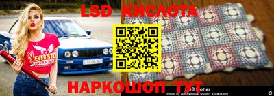 шишки Можайск